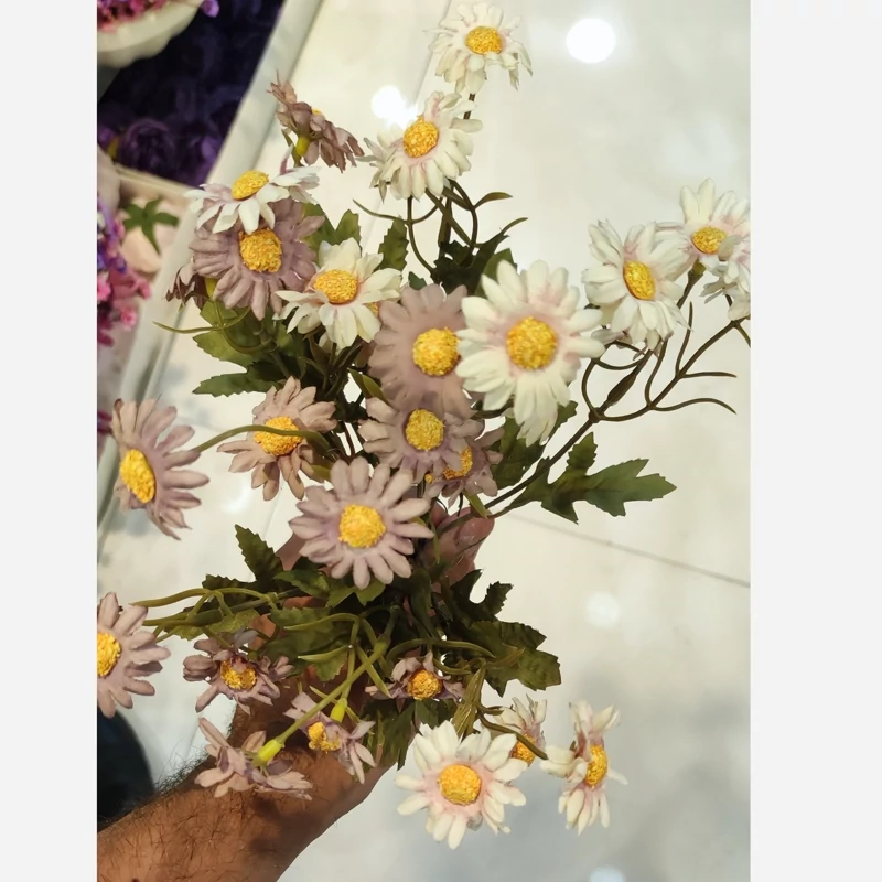 بوته بابونه ریز وحشی