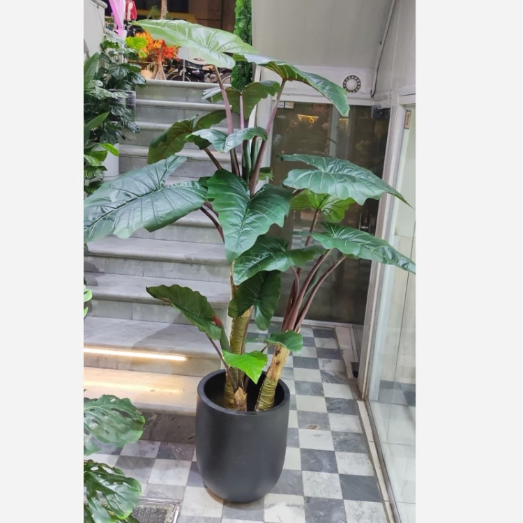درخت مصنوعی برگ آلوکازیا (بابا آدم)