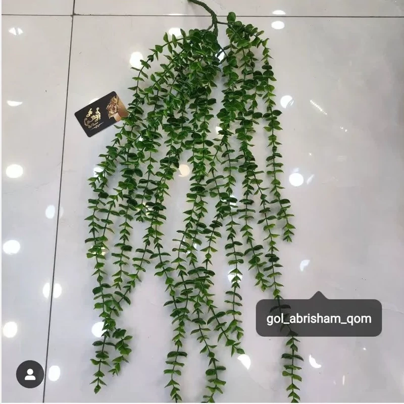 آویز شمشاد درجه یک