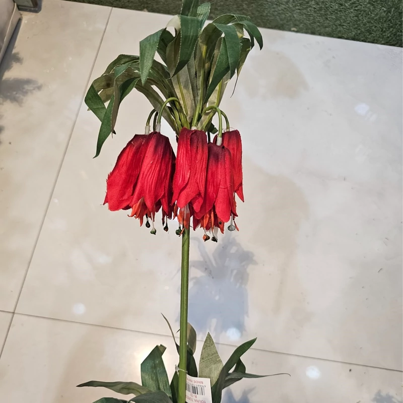 شاخه لاله واژگون