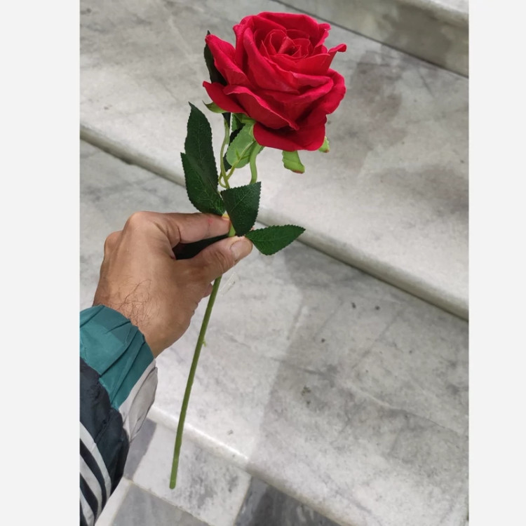 شاخه رز مخمل قرمز وارداتی