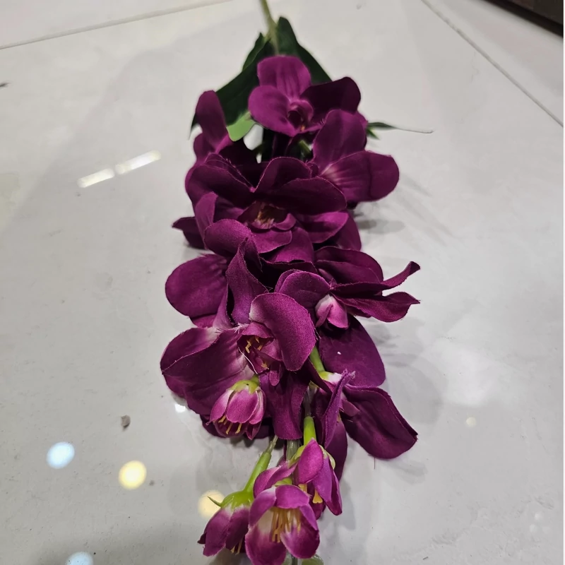 شاخه شب بو رنگ بنفش وارداتی کیفیت بالا