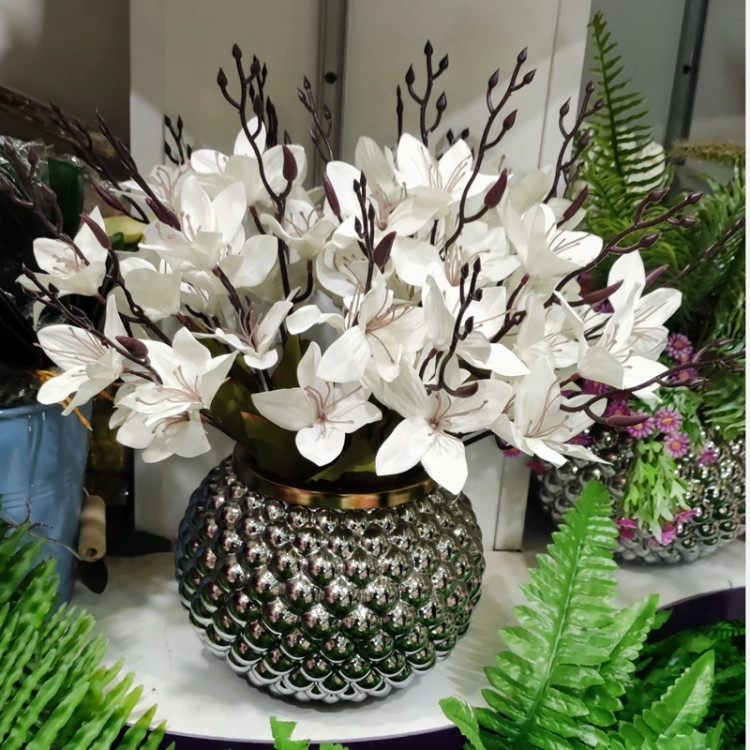 بوته آلستر سفید 5بازو و 15گل وارداتی