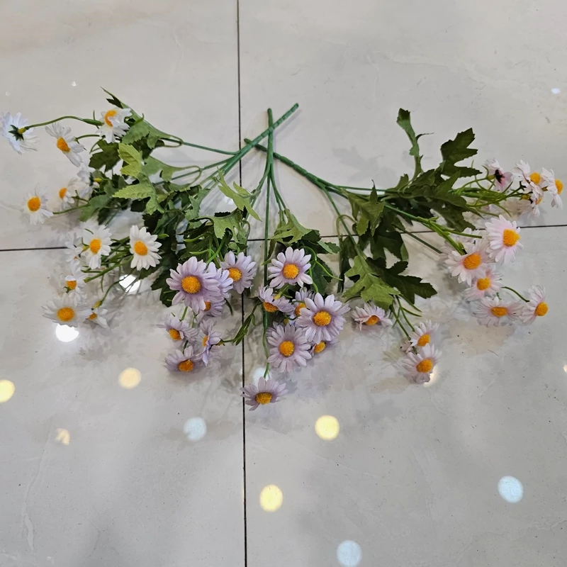 بوته بابونه وحشی وارداتی پنج بازو