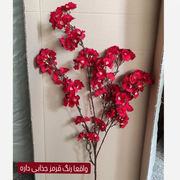 شاخه شکوفه سیب کیفیت فوق ممتاز و تضمینی