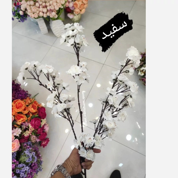 شاخه شکوفه سیب کیفیت فوق ممتاز و تضمینی