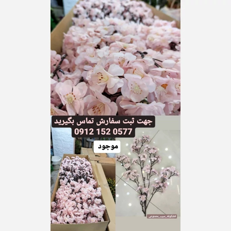 شاخه شکوفه سیب کیفیت فوق ممتاز و تضمینی