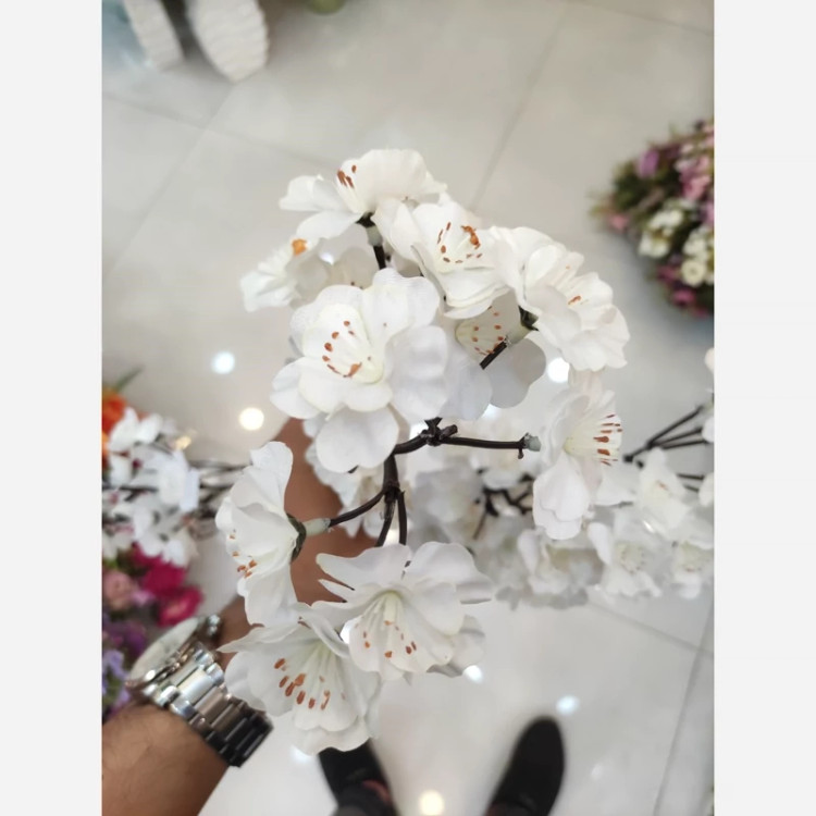 شاخه شکوفه سیب کیفیت فوق ممتاز و تضمینی