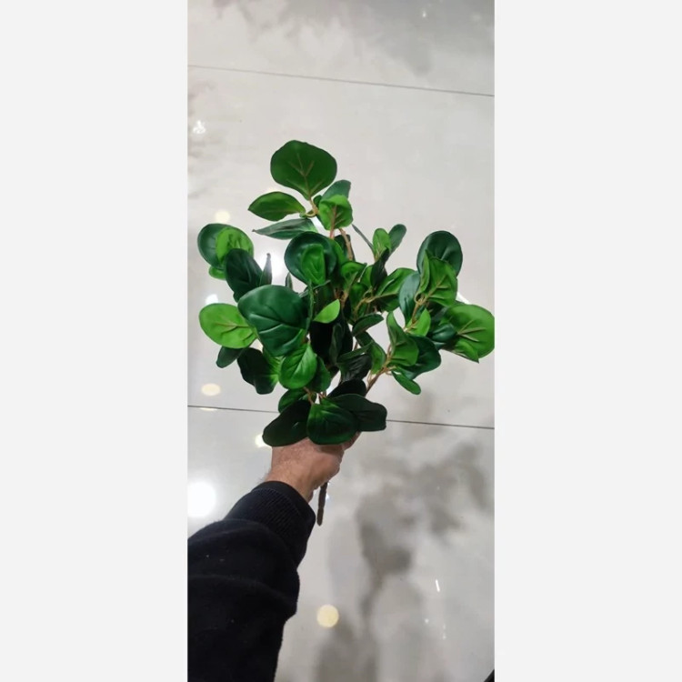 بوته برگ قاشقی 5بازو در 2طرح ساده و ابلق جنس لمسی