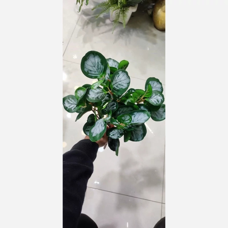بوته برگ قاشقی 5بازو در 2طرح ساده و ابلق جنس لمسی