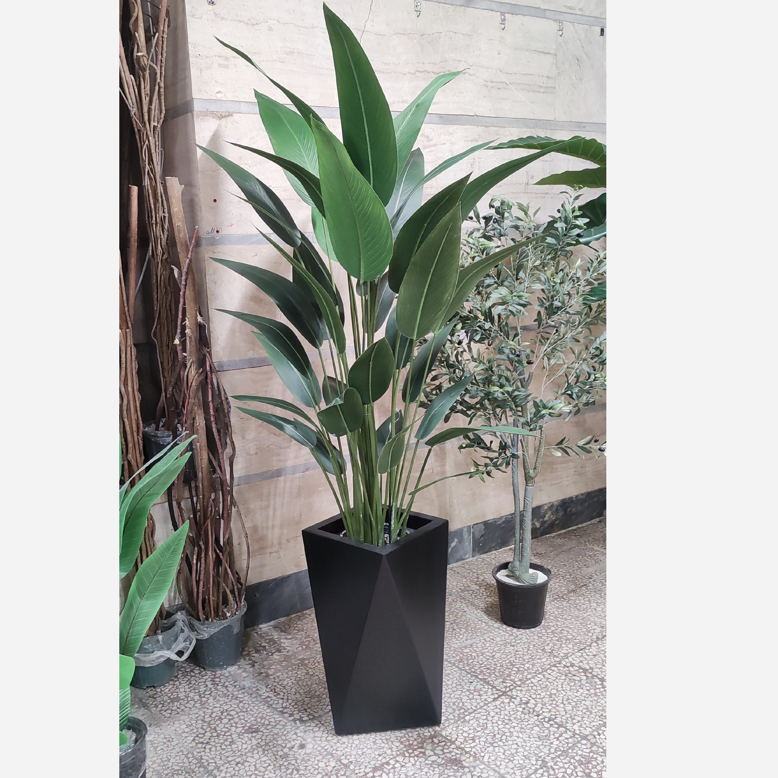 درخت پرنده بهشتی 35 برگ برزنتی وارداتی درجه یک