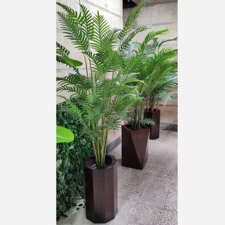 درختچه اریکا سوزنی وارداتی کیفیت بالا