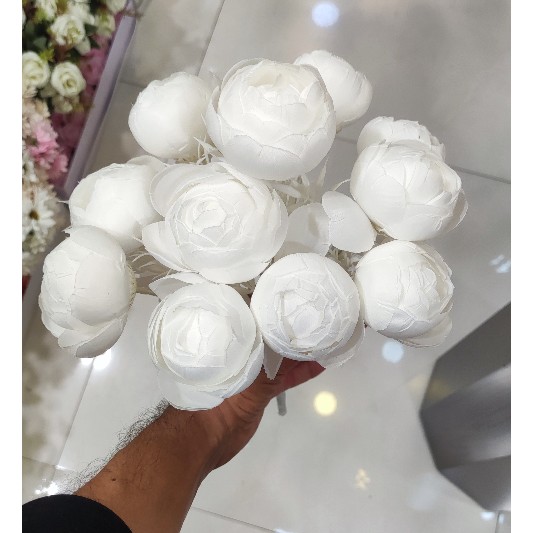 بوته پیونی 12گل وارداتی