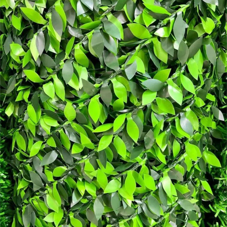 فنس چمن