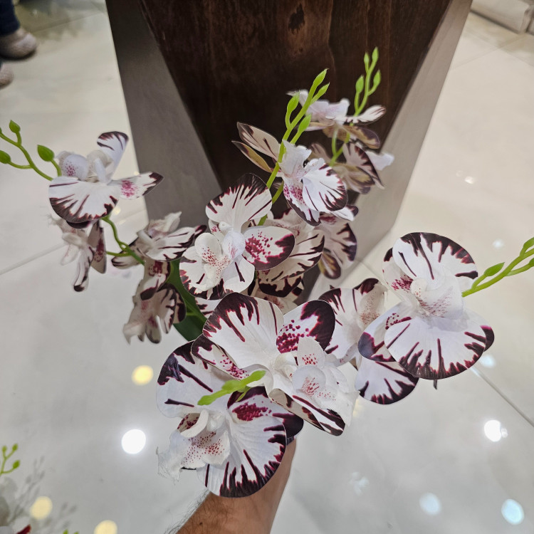 بوته ارکیده وارداتی کیفیت بالا لمسی 5بازو20گل