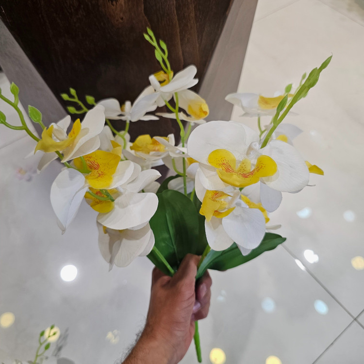 بوته ارکیده وارداتی کیفیت بالا لمسی 5بازو20گل