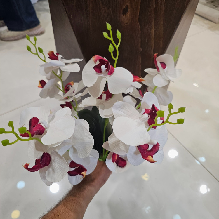 بوته ارکیده وارداتی کیفیت بالا لمسی 5بازو20گل