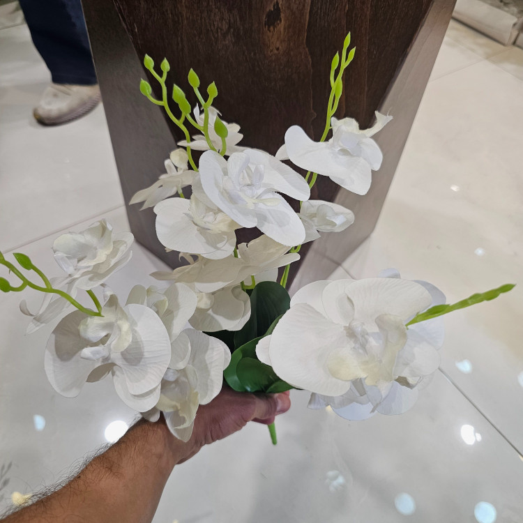 بوته ارکیده وارداتی کیفیت بالا لمسی 5بازو20گل