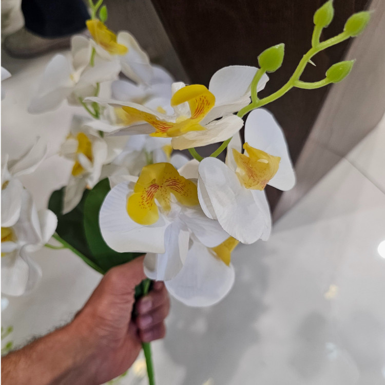 بوته ارکیده وارداتی کیفیت بالا لمسی 5بازو20گل