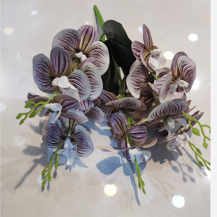 بوته ارکیده وارداتی کیفیت بالا لمسی 5بازو20گل