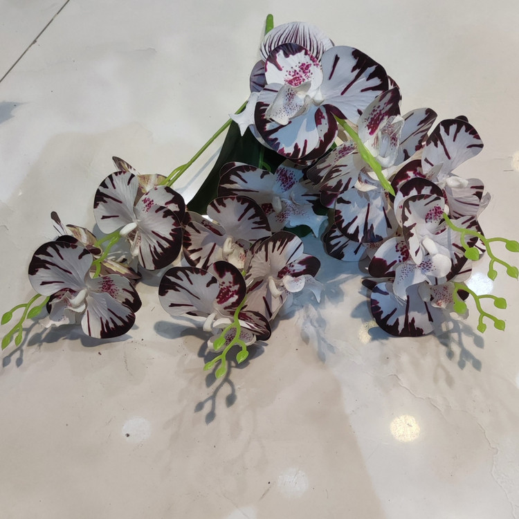 بوته ارکیده وارداتی کیفیت بالا لمسی 5بازو20گل