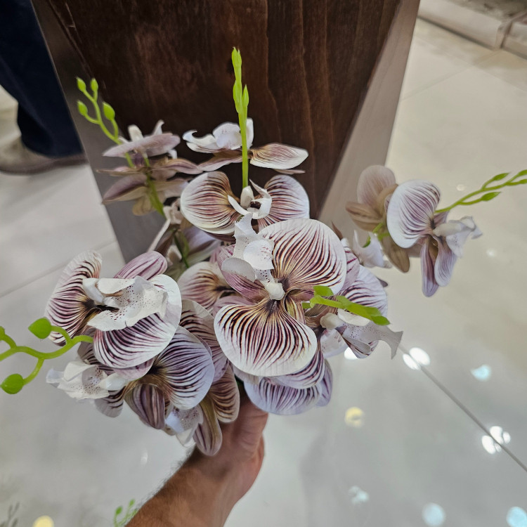 بوته ارکیده وارداتی کیفیت بالا لمسی 5بازو20گل