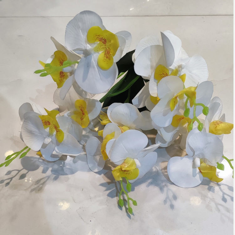 بوته ارکیده وارداتی کیفیت بالا لمسی 5بازو20گل