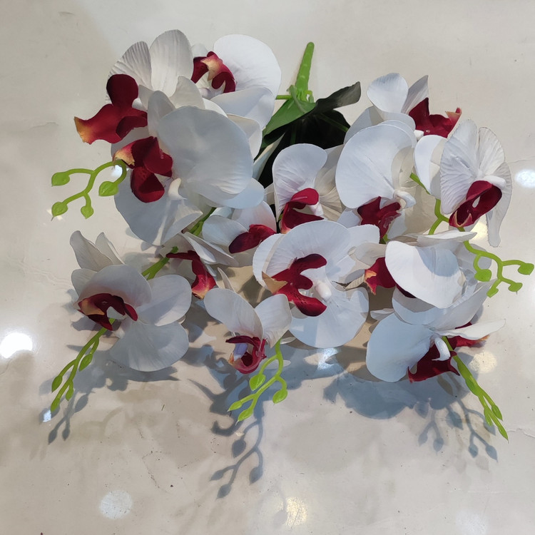 بوته ارکیده وارداتی کیفیت بالا لمسی 5بازو20گل