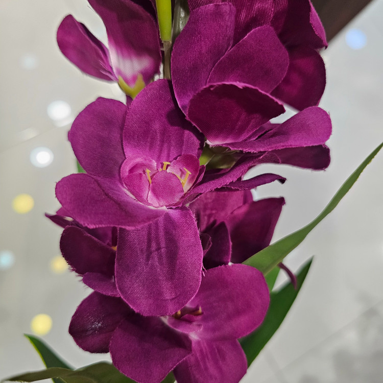 شاخه شب بو رنگ بنفش وارداتی کیفیت بالا