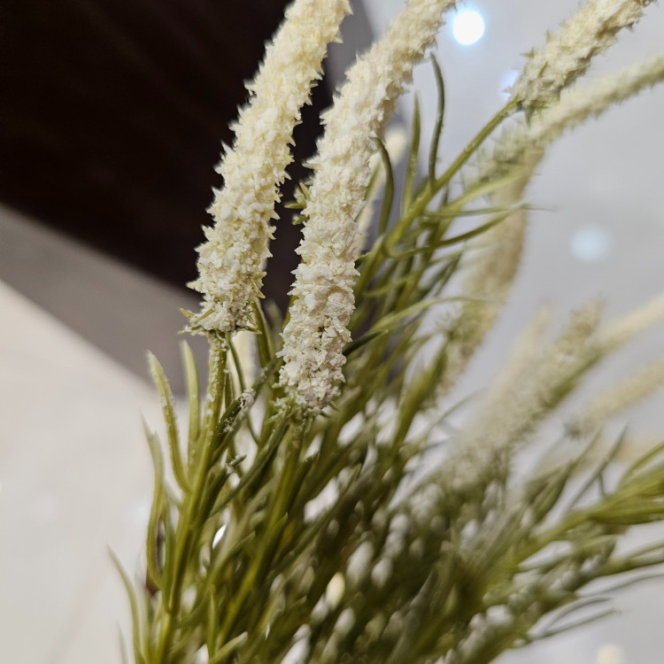بوته ورونیکا سفید 7بازو 21 گل