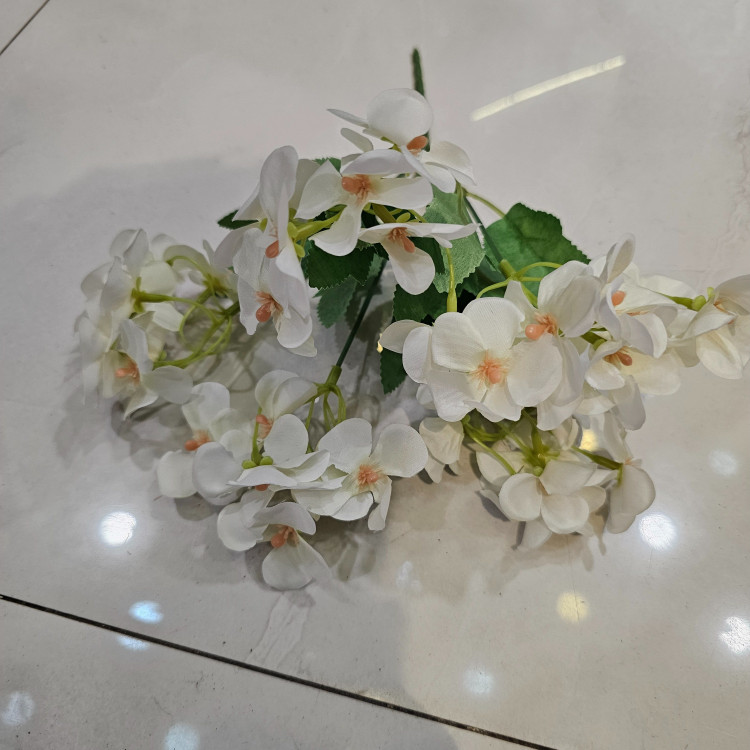 بوته هورتانسیا کوچک پنج بازو