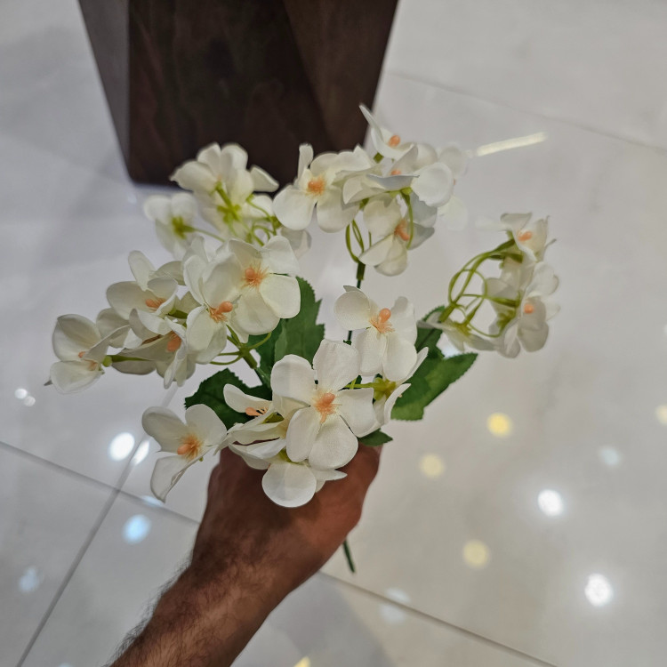 بوته هورتانسیا کوچک پنج بازو
