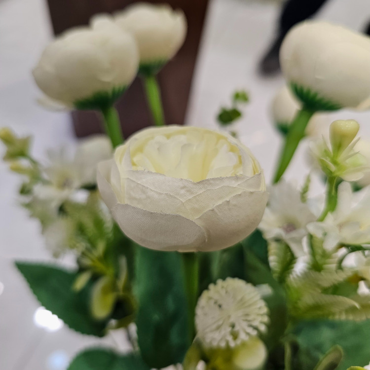بوته پیونی وارداتی ده شاخه هفت گل