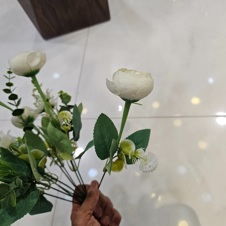 بوته پیونی وارداتی ده شاخه هفت گل