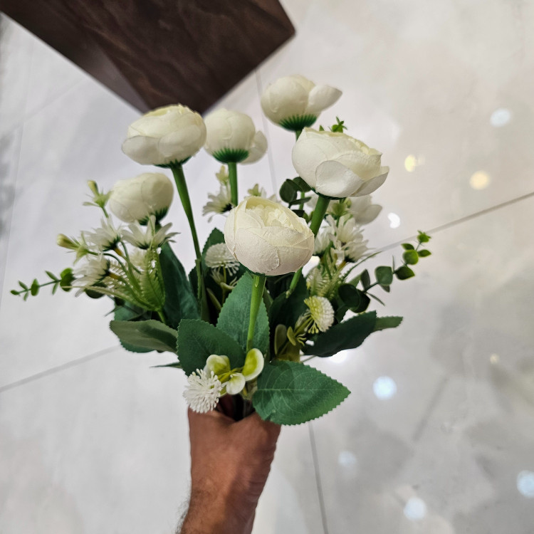 بوته پیونی وارداتی ده شاخه هفت گل