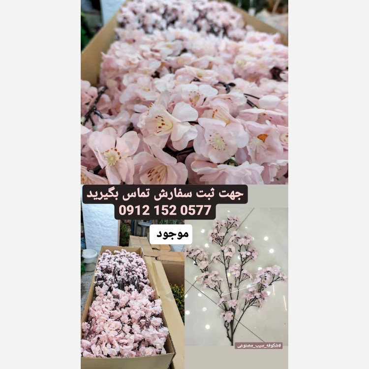 شاخه شکوفه سیب کیفیت فوق ممتاز و تضمینی