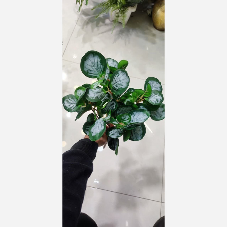 بوته برگ قاشقی 5بازو در 2طرح ساده و ابلق جنس لمسی