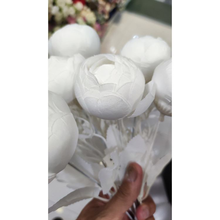 بوته پیونی 12گل وارداتی