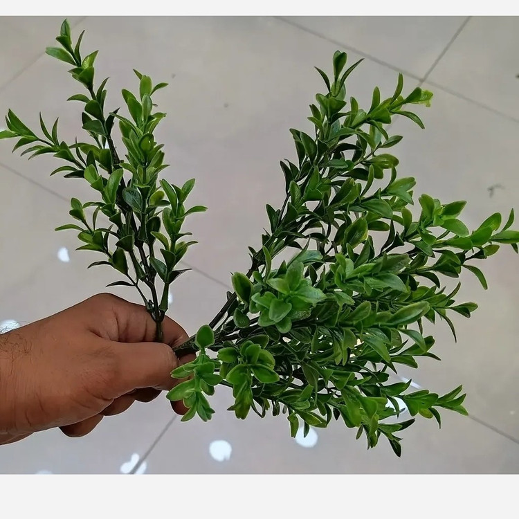 بوته برگ مصنوعی اناری سبز