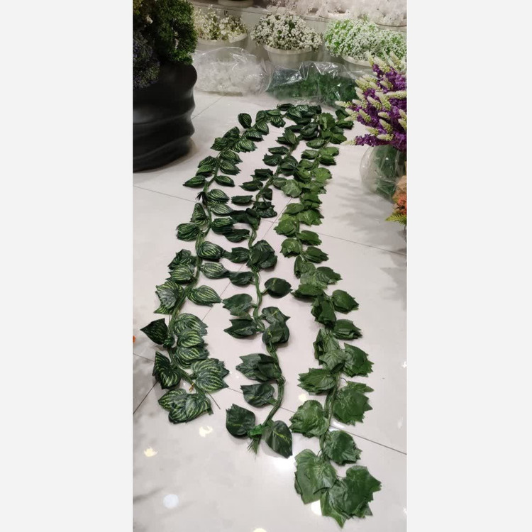 ریسه برگ پینترسی