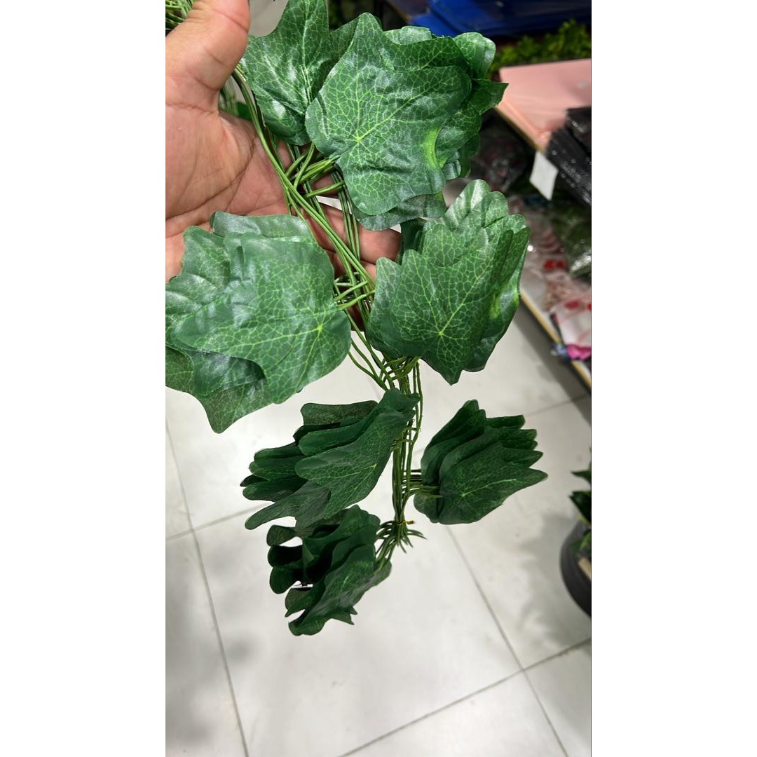 ریسه برگ پینترسی