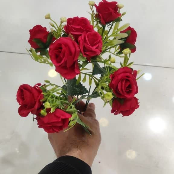 بوته رز مینیاتوری ده گل