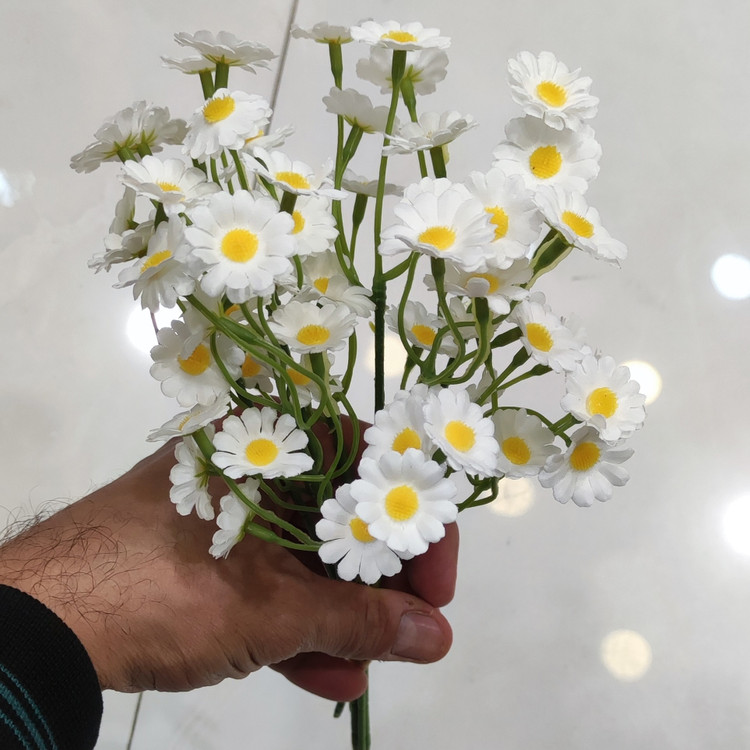 بوته بابونه وارداتی سفید 6شاخه 60گل